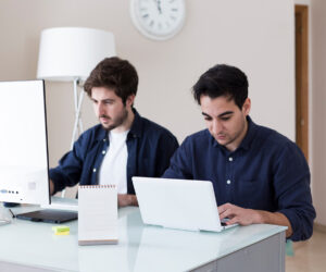 Software development