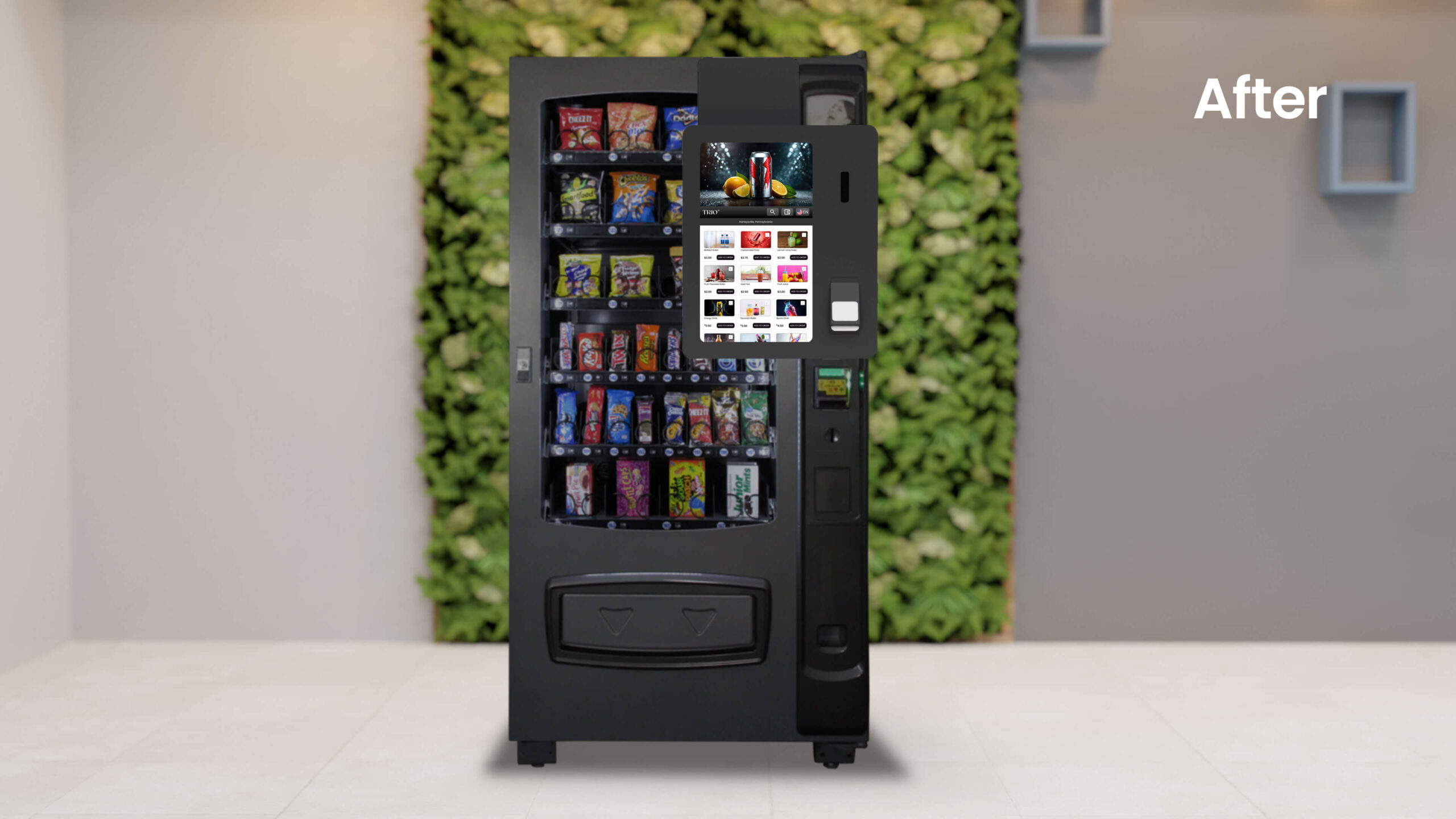 ENV4S Snack - After TRIO Revision Kit